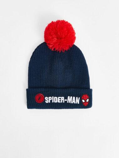 برت پسرانه LCW ACCESSORIES کد  W4AP71Z4 - HSA