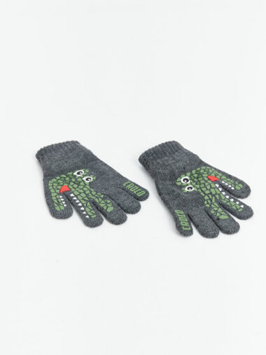 دستکش پسرانه LCW ACCESSORIES کد  W4HM50Z4 - L8N