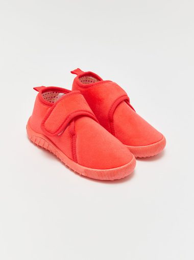 پاندوف  ال سی وایکیکی