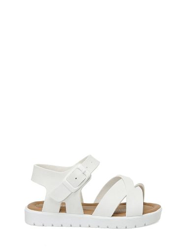 صندل  پولاریس