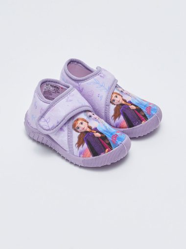 پاندوف  ال سی وایکیکی