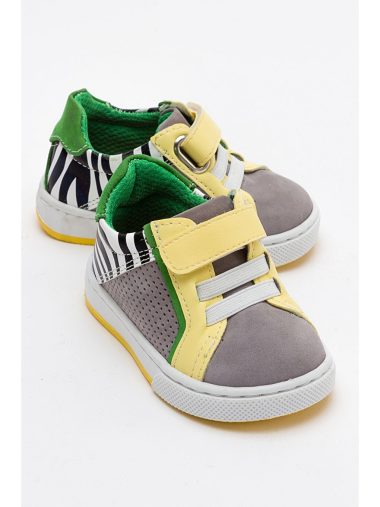 کفش مرحله اول  ام ان پی سی