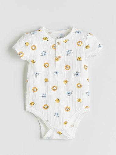 بادی  ال سی وایکیکی