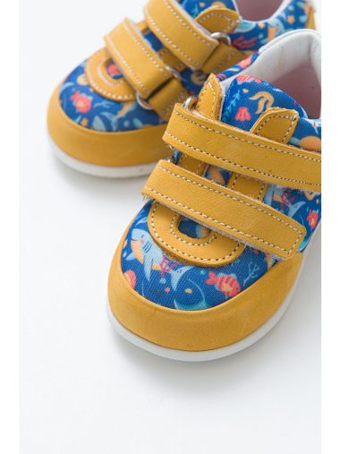 کفش مرحله اول  ام ان پی سی