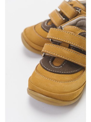 کفش مرحله اول  ام ان پی سی