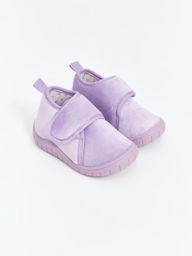 پاندوف  ال سی وایکیکی