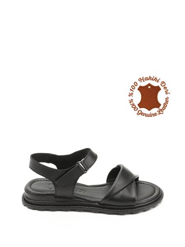 صندل  گوندری